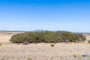 Tbd County Road 139, Gatesville, TX 76528 - Photo 13