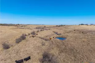 Tbd County Road 139, Gatesville, TX 76528 - Photo 45