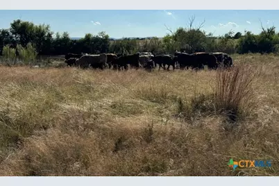 Tbd County Road 139, Gatesville, TX 76528 - Photo 11