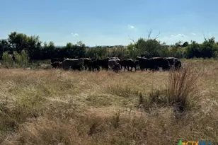 Tbd County Road 139, Gatesville, TX 76528 - Photo 11