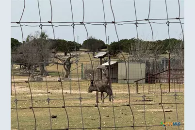 1280 County Road 118, Copperas Cove, TX 76522 - Photo 47