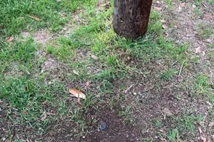 5606 1/2 Joe Sayers Ave, Austin, TX 78756 - Photo 7