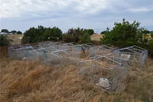 257 County Rd 3355, Kempner, TX 76539 - Photo 37