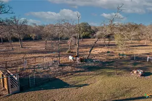 1465 Co Rd 401, Edna, TX 77957 - Photo 35
