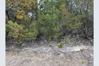 2192 Waterfront Drive, Canyon Lake, TX 78133 - Photo 5