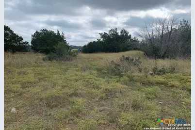 523 Oak Shores Drive, Canyon Lake, TX 78133 - Photo 3