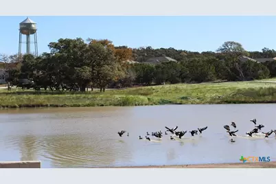 114 Carino Cove, Boerne, TX 78006 - Photo 33