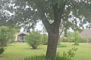6515 Rein Dr, Killeen, TX 76542 - Photo 5