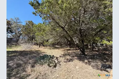 621 Royal Oak Drive, Canyon Lake, TX 78133 - Photo 3