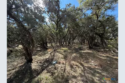 621 Royal Oak Drive, Canyon Lake, TX 78133 - Photo 7