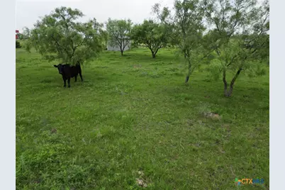 2238 County Road 2109, Lometa, TX 76853 - Photo 11
