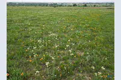 2238 County Road 2109, Lometa, TX 76853 - Photo 13
