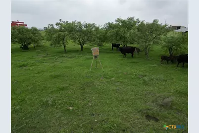 2238 County Road 2109, Lometa, TX 76853 - Photo 29