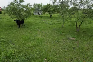 2238 County Rd 2109, Lometa, TX 76853 - Photo 23