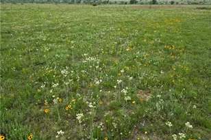 2238 County Rd 2109, Lometa, TX 76853 - Photo 31