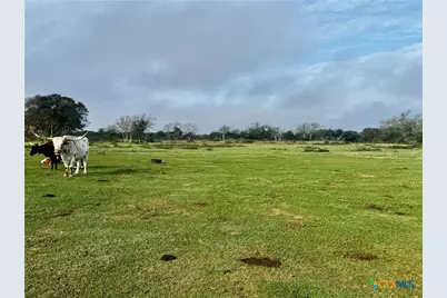 13340 State Highway 172, La Ward, TX 77970 - Photo 5
