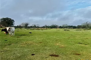 13340 State Hwy 172, La Ward, TX 77970 - Photo 5