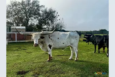 13340 State Highway 172, La Ward, TX 77970 - Photo 7