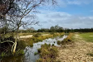 13340 State Hwy 172, La Ward, TX 77970 - Photo 3