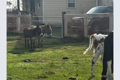 13340 State Highway 172, La Ward, TX 77970 - Photo 5