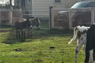 13340 State Hwy 172, La Ward, TX 77970 - Photo 5