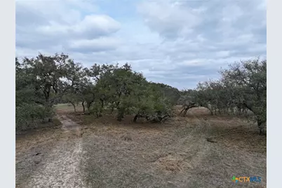 1385 Bego Road, Goliad, TX 77963 - Photo 19