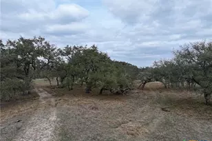 1385 Bego Rd, Goliad, TX 77963 - Photo 19