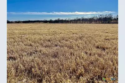 8603 Pecan Road, Troy, TX 76579 - Photo 5