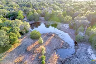 715 Private Rd 1051, Hallettsville, TX 77964 - Photo 9