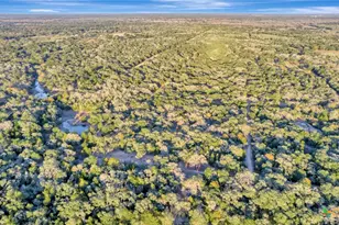 715 Private Rd 1051, Hallettsville, TX 77964 - Photo 7