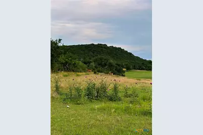 Unassigned County Road 301, Oglesby, TX 76561 - Photo 27
