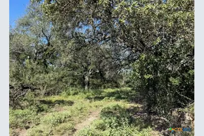 Unassigned County Road 301, Oglesby, TX 76561 - Photo 11