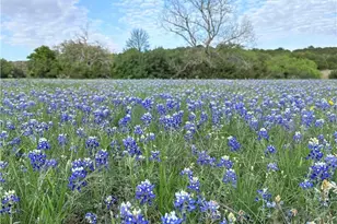 Unassigned County Road 301, Oglesby, TX 76561 - Photo 23