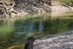 Unassigned County Road 301, Oglesby, TX 76561 - Photo 1