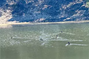 Unassigned County Road 301, Oglesby, TX 76561 - Photo 11