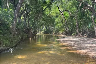 Unassigned County Road 301, Oglesby, TX 76561 - Photo 5