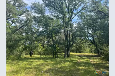 Unassigned County Road 301, Oglesby, TX 76561 - Photo 33