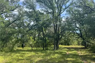 Unassigned County Road 301, Oglesby, TX 76561 - Photo 33