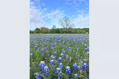 Unassigned County Road 301, Oglesby, TX 76561 - Photo 19