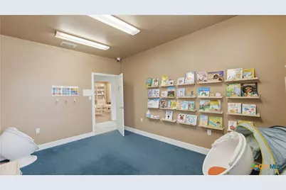 223 Lucinda Drive, New Braunfels, TX 78130 - Photo 17