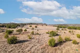 659 Shin Oak Dr, Lampasas, TX 76550 - Photo 7