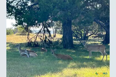 2220 Tye Valley Road, Harker Heights, TX 76548 - Photo 9