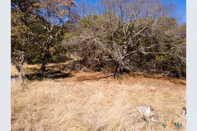 Tbd County Road 3900, Gatesville, TX 76528 - Photo 33