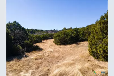 Tbd County Road 3900, Gatesville, TX 76528 - Photo 29