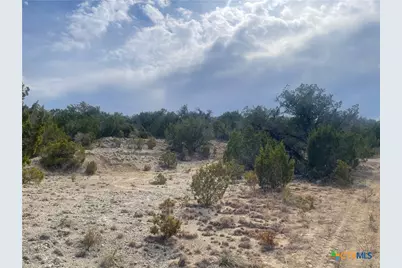 Tract 81 Private Road 3442N, Kempner, TX 76539 - Photo 9