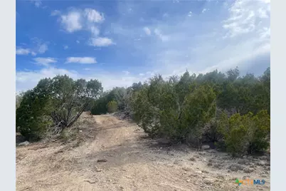 Tract 81 Private Road 3442N, Kempner, TX 76539 - Photo 1