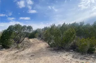 Tract 81 Private Road 3442N, Kempner, TX 76539 - Photo 1