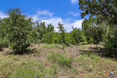 101 Purple Sage Street, Driftwood, TX 78619 - Photo 11