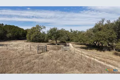 101 Purple Sage Street, Driftwood, TX 78619 - Photo 9