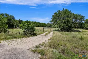 101 Purple Sage St, Driftwood, TX 78619 - Photo 1